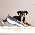 Immediate Risks of Dogs Eating Tin Foil