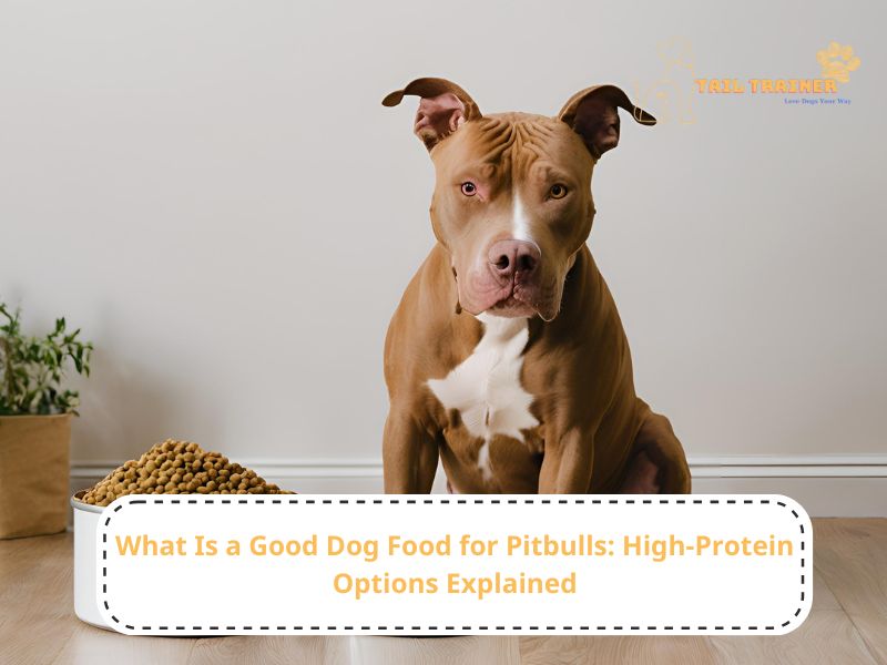 Understanding the Nutritional Needs of Pitbulls